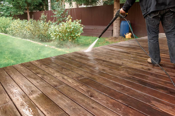 Best Roof Washing  in Rogersville, AL