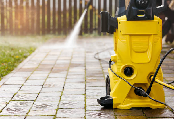 Best Gutter Cleaning  in Rogersville, AL